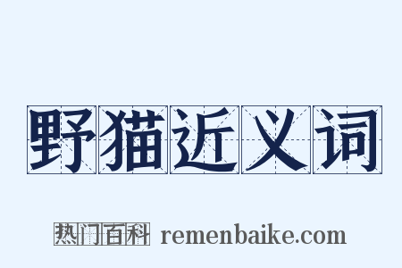 野猫近义词是什么意思的图片